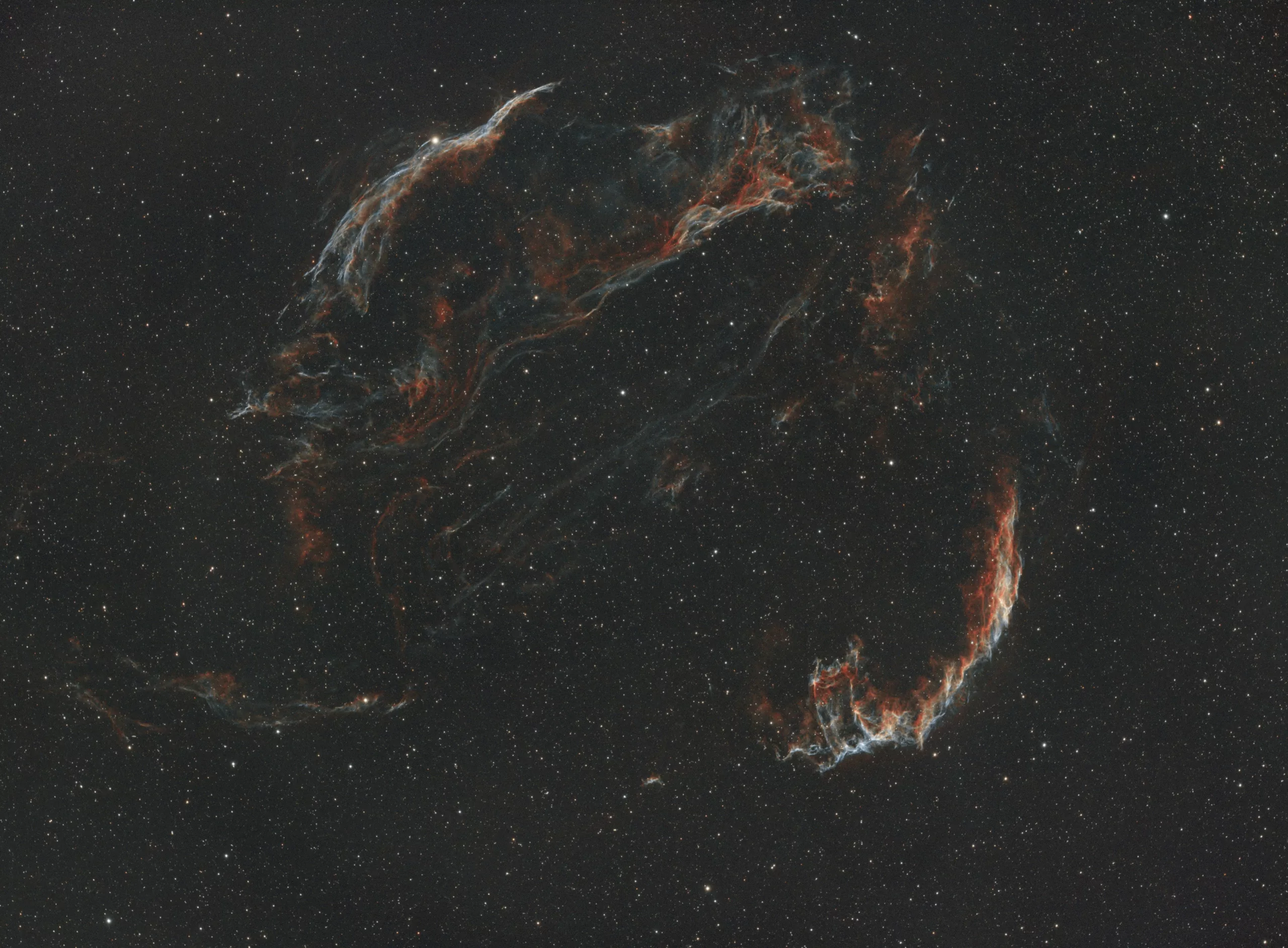 From Extinction to Excellence: Applying Evolution to Business